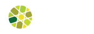 Jews of Color Field Building Initiative